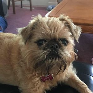 Meet your Posher, Leona